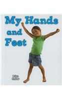 My Hands and Feet