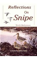 Reflections on Snipe