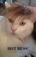 Hot Mess!