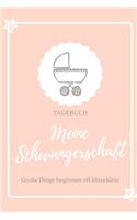 Meine Schwangerschaft Große Dinge Beginnen Oft Klitzeklein Tagebuch