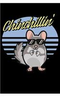 Chinchillin'