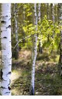 Among the Birch Trees in Summer Journal: 150 Page Lined Notebook/Diary