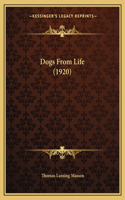 Dogs From Life (1920)