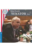 What Does a Senator Do?: (How Our Government Works)