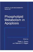 Phospholipid Metabolism in Apoptosis