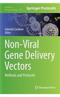Non-Viral Gene Delivery Vectors