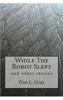While The Robot Slept