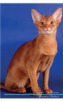 Abyssinian Cat Affirmations Workbook Abyssinian Cat Presents: Positive and Loving Affirmations Workbook. Includes: Mentoring Questions, Guidance, Supporting You.