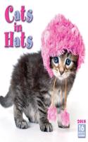 Cats in Hats 2018 Calendar