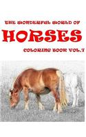 The Wonderful World of Horses
