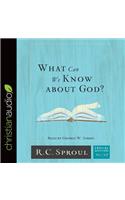 What Can We Know about God?