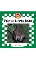 Fringe-Lipped Bats
