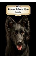 2020 Pastore Tedesco Nero Agenda: 107 Pagine - Dimensioni DIN A5 - Pianificatore Settimanale - 12 Mesi - Due Pagine Per Settimana - Calendario - Diario - Cane