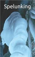 Spelunking