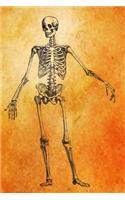 Full Front Skeleton Journal
