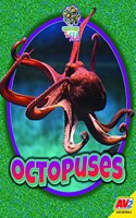 Octopuses