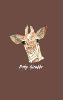 Baby Giraffe