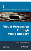Visual Perception Through Video Imagery