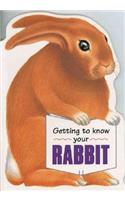 Getting to Know Your Rabbit: (Children's Pet S.)