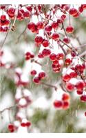 Winter Berries Red White Christmas Colors Snowstorm Journal