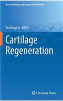 Cartilage Regeneration