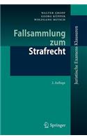 Fallsammlung Zum Strafrecht