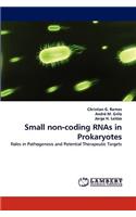 Small Non-Coding Rnas in Prokaryotes