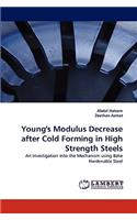 Young's Modulus Decrease after Cold Forming in High Strength Steels