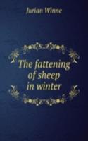 fattening of sheep in winter