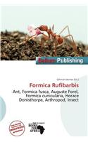 Formica Rufibarbis
