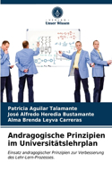 Andragogische Prinzipien im Universitätslehrplan