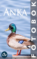 Anka