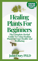 Healing Plants For Beginners