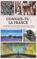 Connais-tu bien la France - Cahier d'activités pour adultes