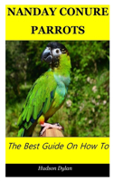 Nanday Conure Parrots