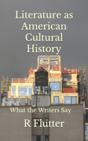 Literature as American Cultural History: What the Writers Say