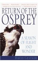 Return of the Osprey