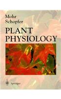 Plant Physiology