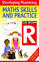 Developing Numeracy: Maths Skills and Practice: Year R: CD-ROM R(Developings)