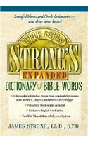 The New Strong's Expanded Dictionary of Bible Words