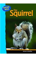 The Squirrel: (Nature Walk)