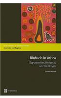 Biofuels in Africa