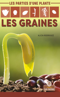 Les Graines (Seeds)