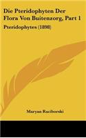 Pteridophyten Der Flora Von Buitenzorg, Part 1