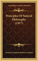 Principles Of Natural Philosophy (1917)