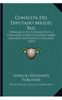 Consulta del Diputado Miguel Rul: Dirigida a Sus Colegas En El 7 Congreso Constitucional Sobre Asuntos de Politica y Sociales (1873)