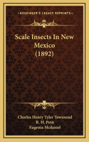 Scale Insects In New Mexico (1892)