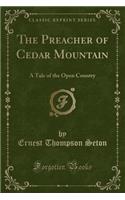 The Preacher of Cedar Mountain: A Tale of the Open Country (Classic Reprint)