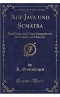 Auf Java Und Sumatra: Streifzï¿½ge Und Forschungsreisen Im Lande Der Malaien (Classic Reprint)