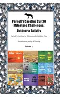 Parnell's Carolina Cur 20 Milestone Challenges: Outdoor & Activity Parnell's Carolina Cur Milestones for Outdoor Fun, Socialization, Agility & Training Volume 1